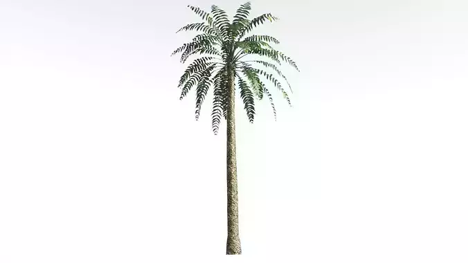 EVERYPlant Date Palm LowPoly 4 --16 Models-- Low-poly 3D model