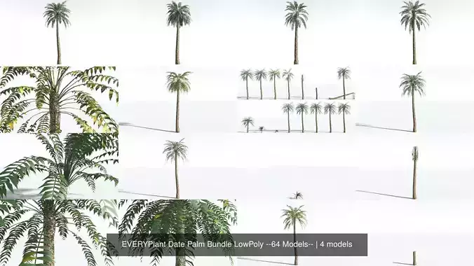 EVERYPlant Date Palm Bundle LowPoly --64 Models-- 3D Model Collection