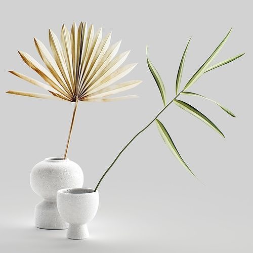 Decor vases with dried flowers Set 85 3D model