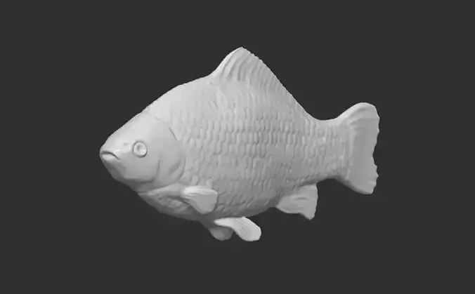 Crucian carp fish for 3D printing 3D print model