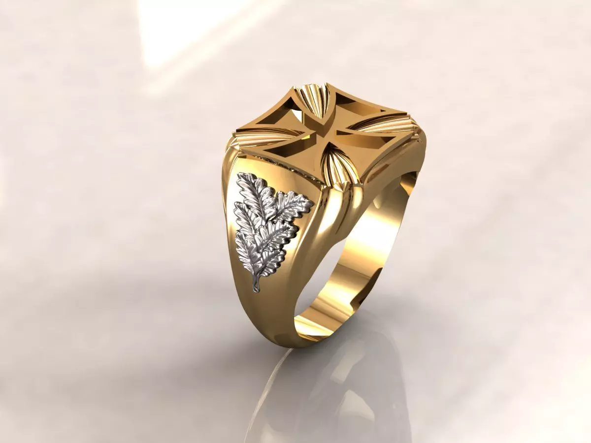 Ring men 4 3D print model