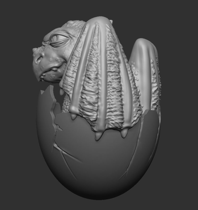 Newborn dragon 3D print model_14