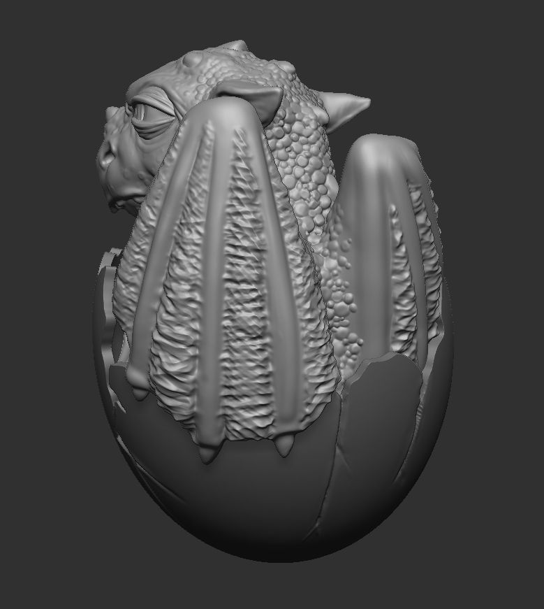 Newborn dragon 3D print model_27