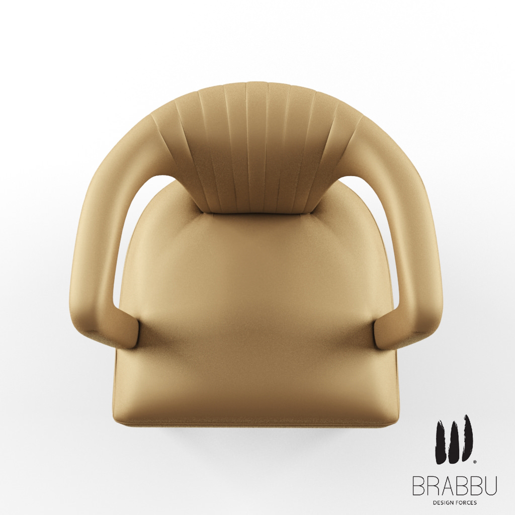 Brabbu Karoo 3D model_3