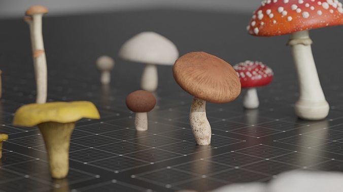 15 SPECIES Mushrooms - All in 2 Age ranges Low-poly 3D model 3