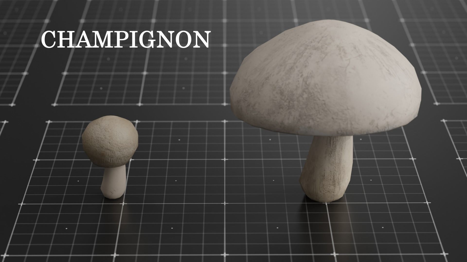 15 SPECIES Mushrooms - All in 2 Age ranges Low-poly 3D model_10