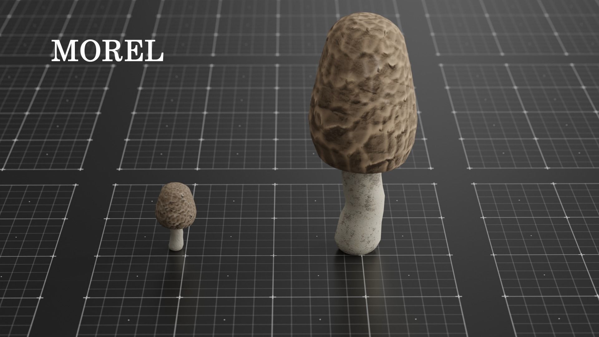 15 SPECIES Mushrooms - All in 2 Age ranges Low-poly 3D model_17