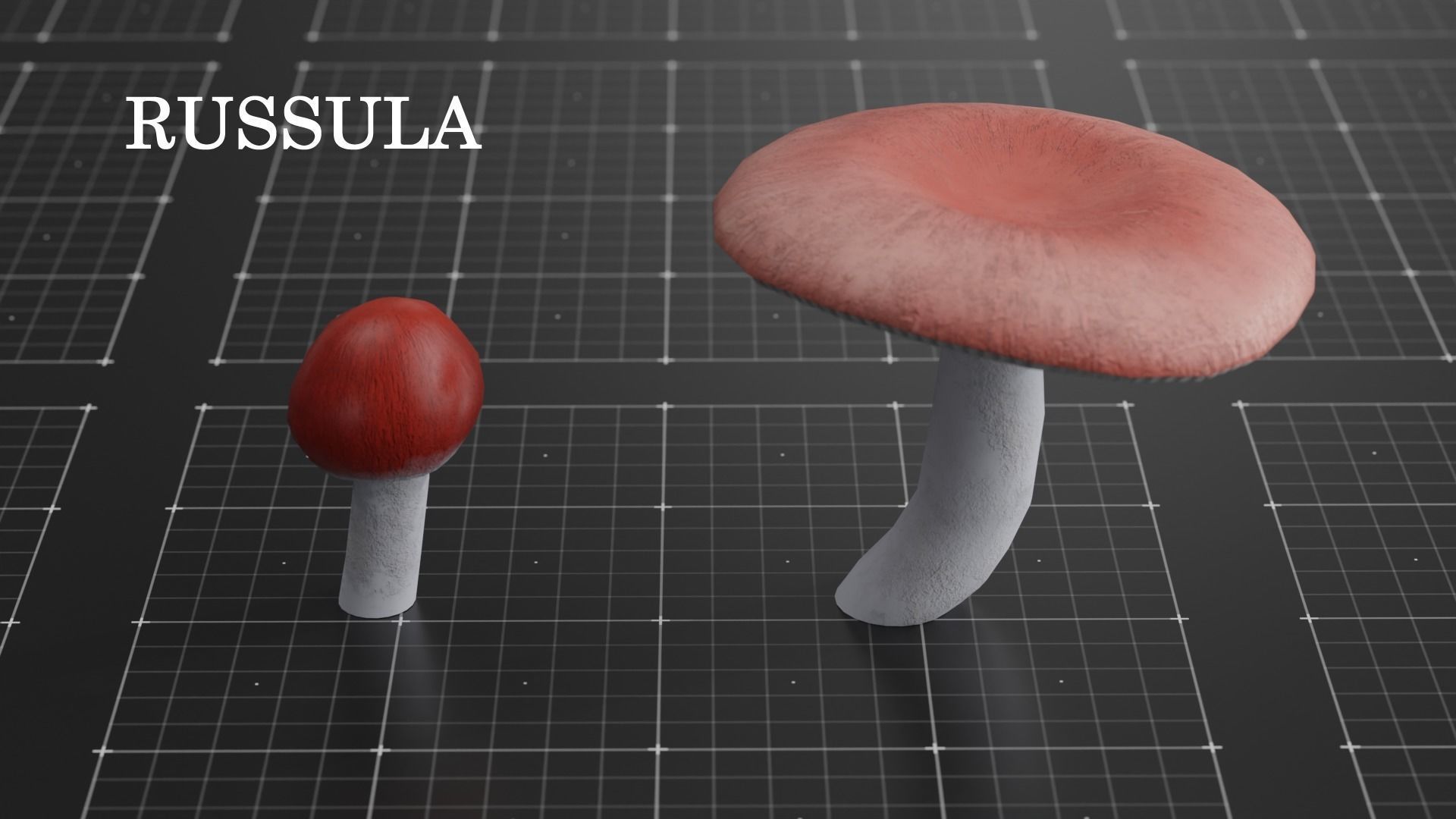 15 SPECIES Mushrooms - All in 2 Age ranges Low-poly 3D model_20