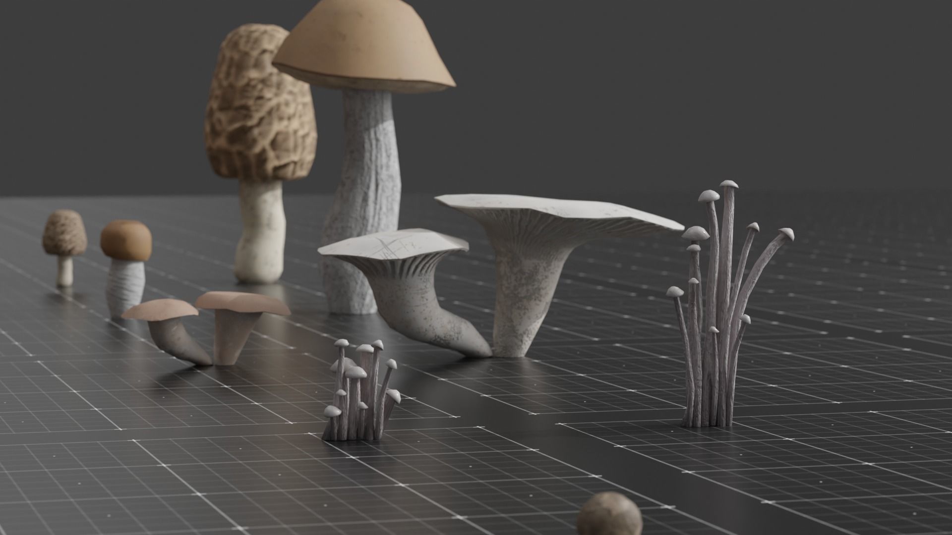15 SPECIES Mushrooms - All in 2 Age ranges Low-poly 3D model_5