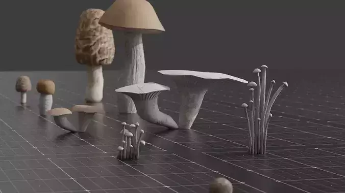 15 SPECIES Mushrooms - All in 2 Age ranges Low-poly 3D model 6