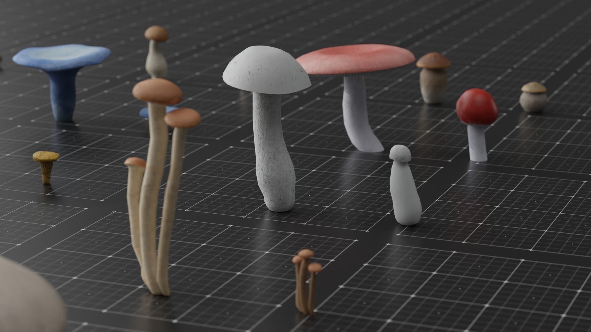 15 SPECIES Mushrooms - All in 2 Age ranges Low-poly 3D model_4