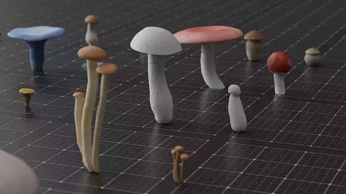 15 SPECIES Mushrooms - All in 2 Age ranges Low-poly 3D model 5