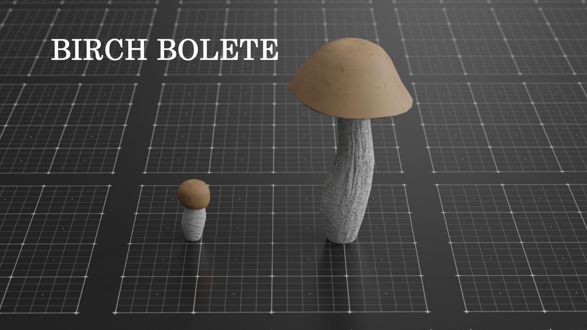 15 SPECIES Mushrooms - All in 2 Age ranges Low-poly 3D model_11