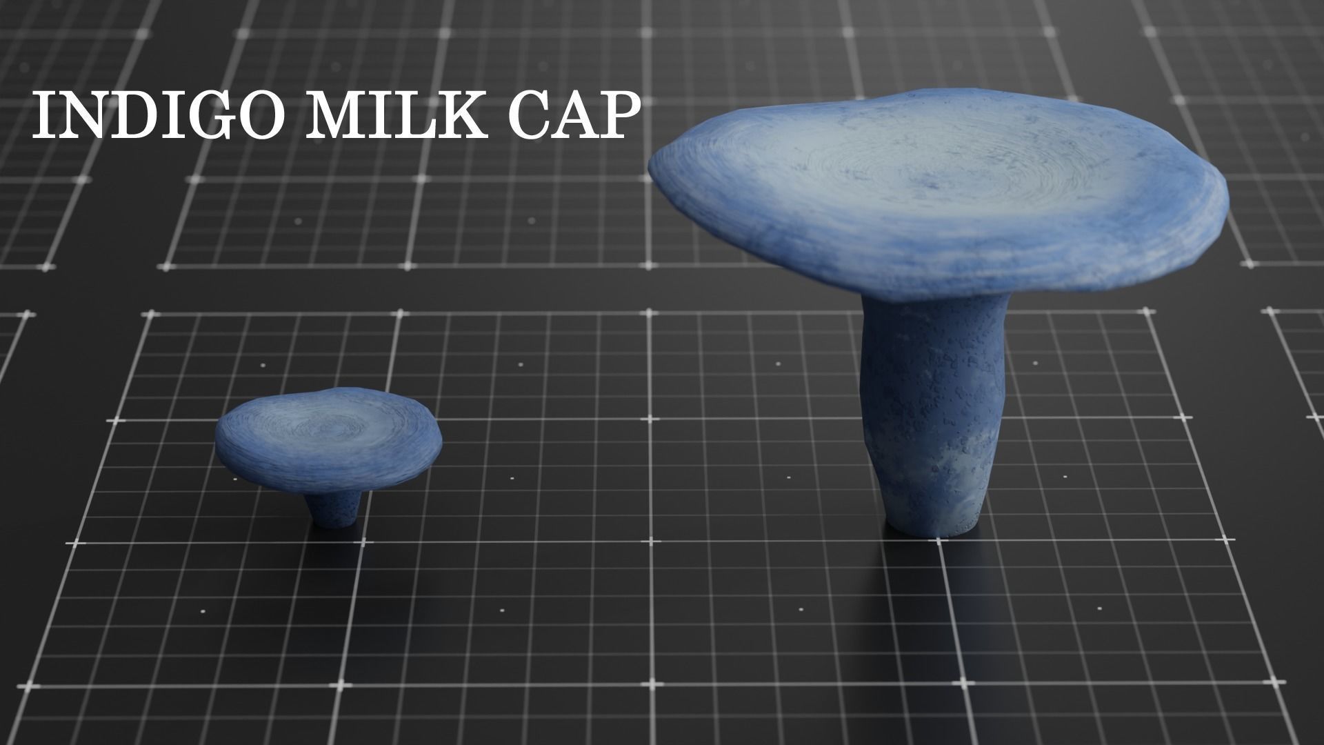 15 SPECIES Mushrooms - All in 2 Age ranges Low-poly 3D model_14