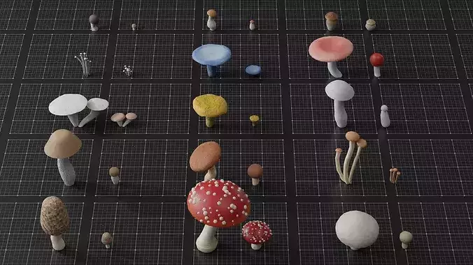 15 SPECIES Mushrooms - All in 2 Age ranges Low-poly 3D model 7