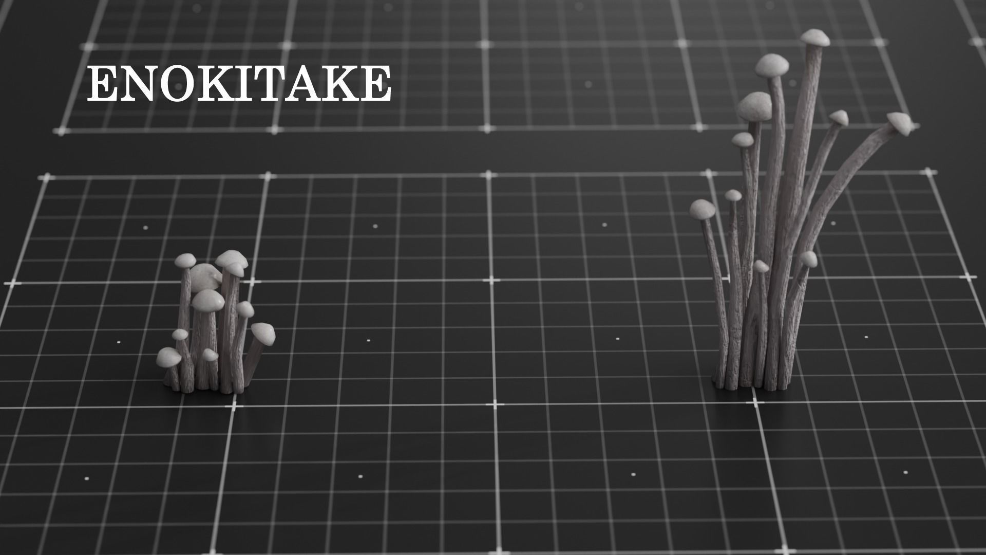 15 SPECIES Mushrooms - All in 2 Age ranges Low-poly 3D model_7