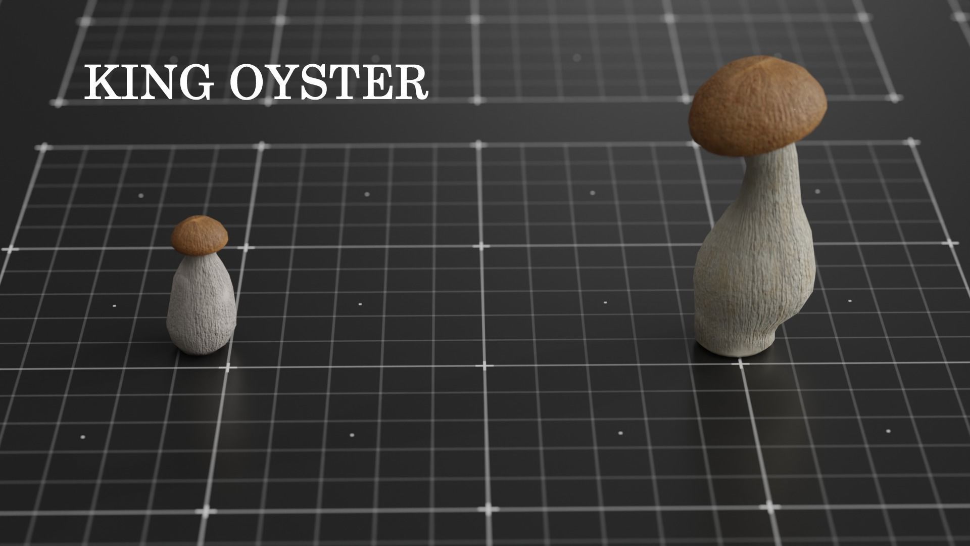15 SPECIES Mushrooms - All in 2 Age ranges Low-poly 3D model_15