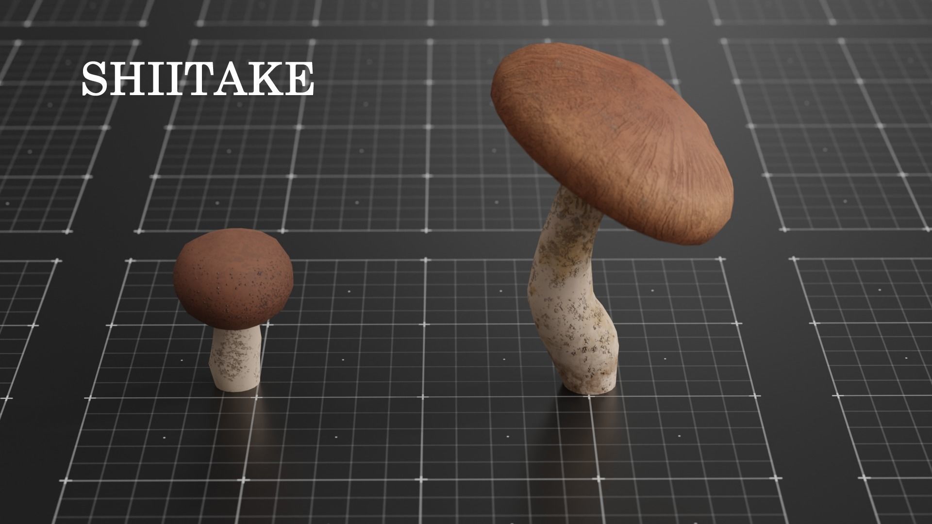 15 SPECIES Mushrooms - All in 2 Age ranges Low-poly 3D model_8
