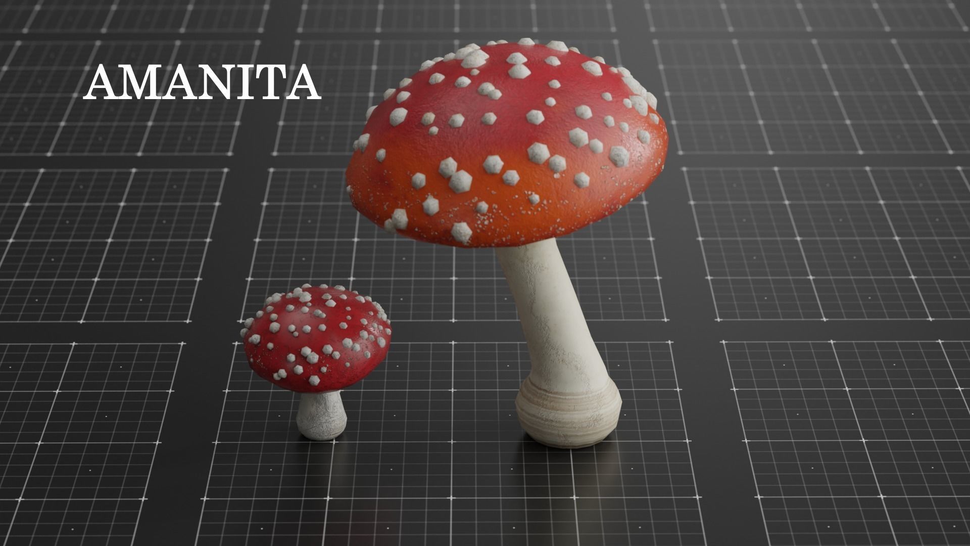 15 SPECIES Mushrooms - All in 2 Age ranges Low-poly 3D model_21