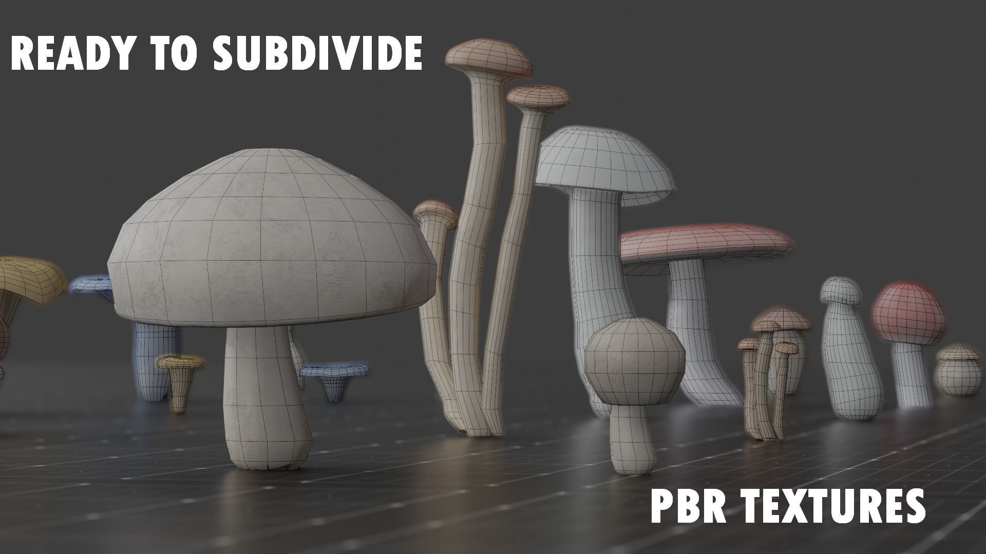 15 SPECIES Mushrooms - All in 2 Age ranges Low-poly 3D model_1