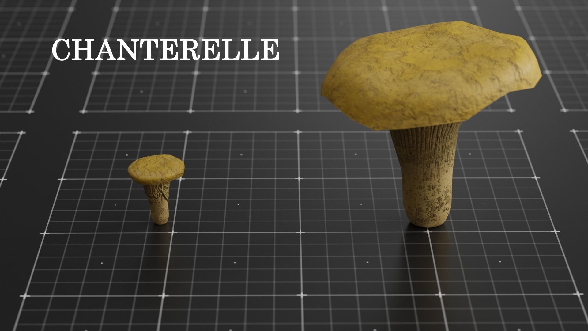 15 SPECIES Mushrooms - All in 2 Age ranges Low-poly 3D model_12