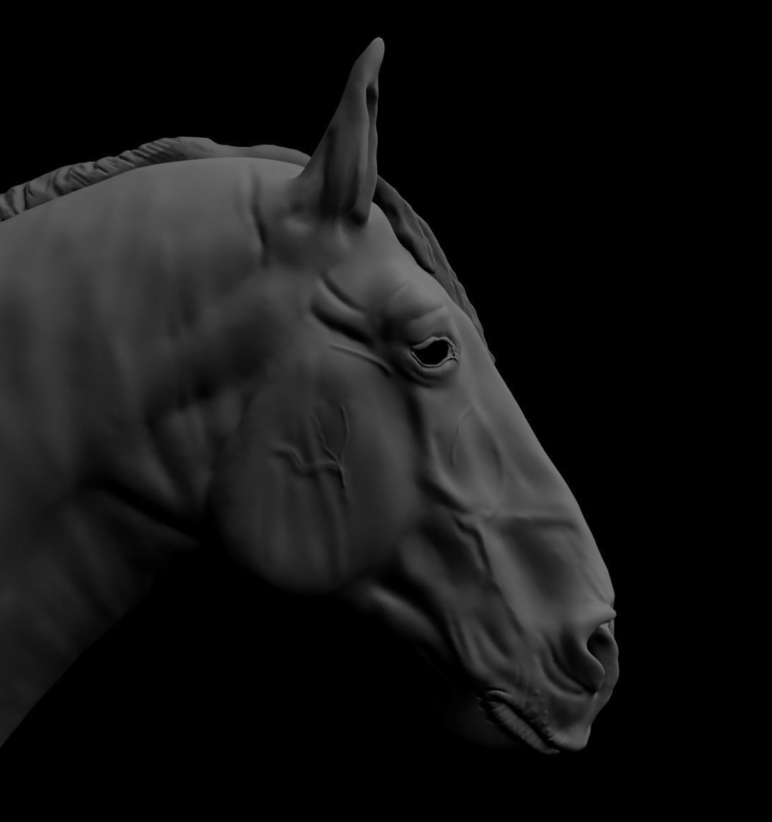 Draft Horse Sculpt 3D model_5