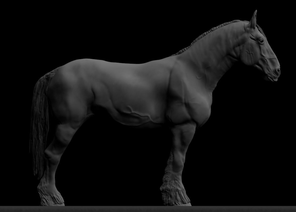 Draft Horse Sculpt 3D model_4
