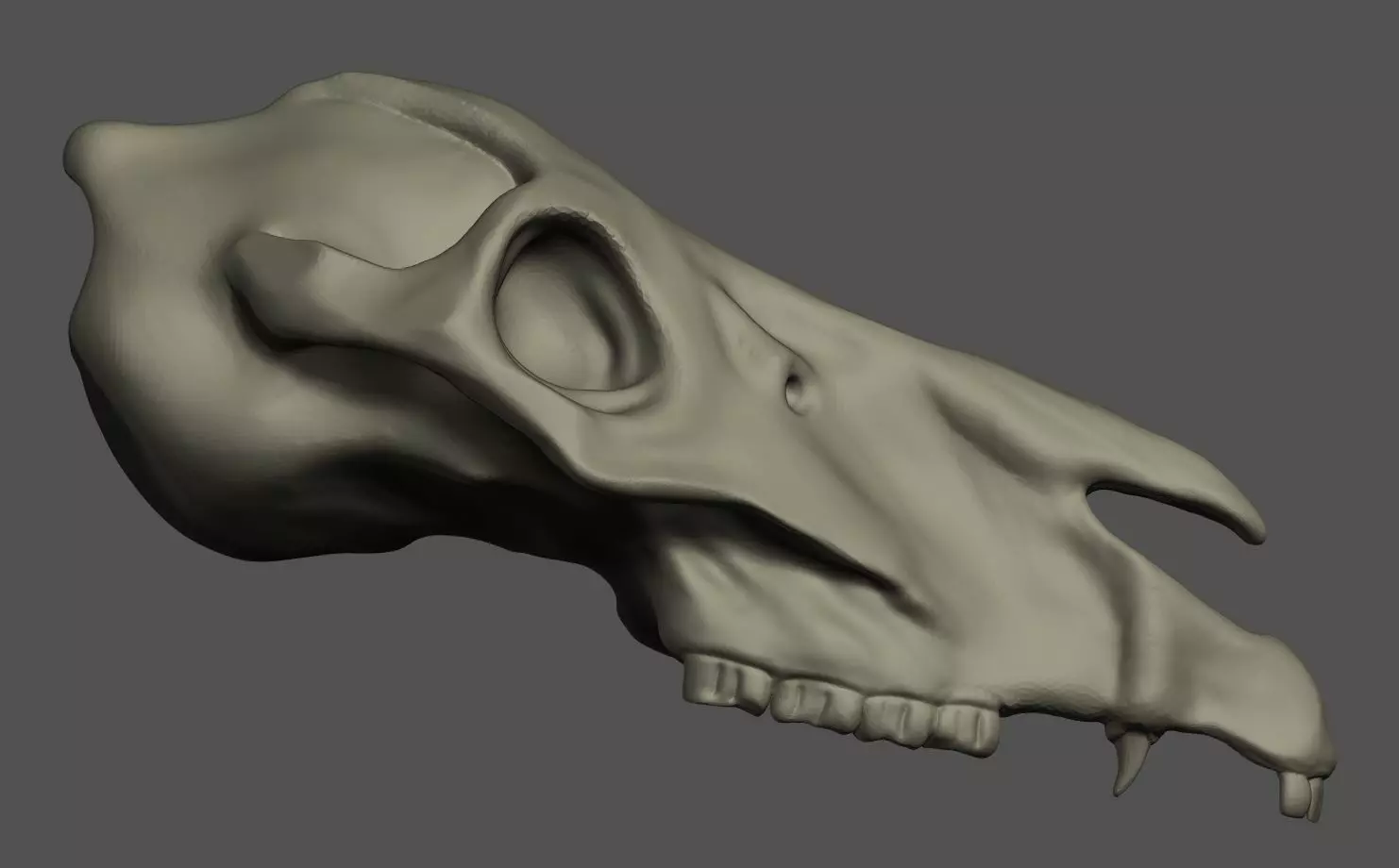 Horse Skull 3D print model_0