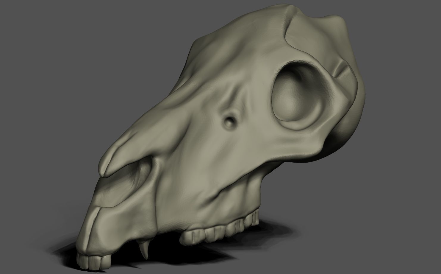 Horse Skull 3D print model_1