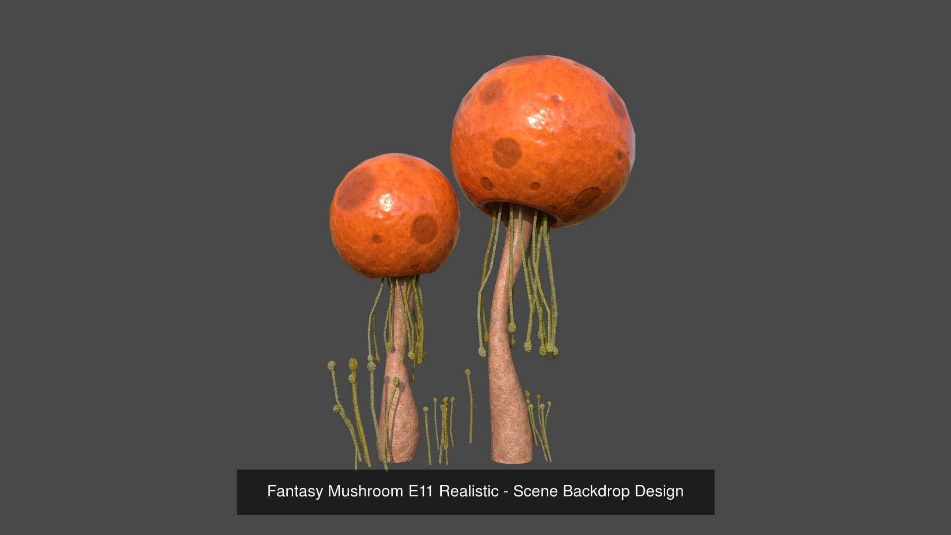 10 Fantasy Mushrooms AJR Collection - Scene Backdrop Design _4