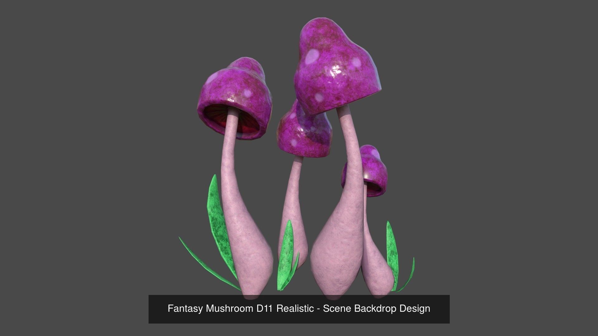 10 Fantasy Mushrooms AJR Collection - Scene Backdrop Design _3
