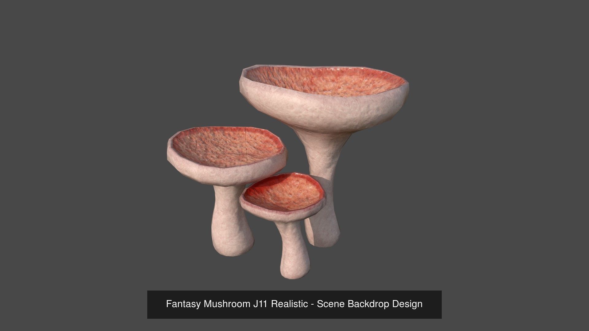10 Fantasy Mushrooms AJR Collection - Scene Backdrop Design _10