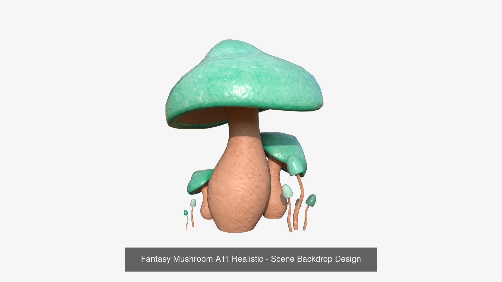 10 Fantasy Mushrooms AJR Collection - Scene Backdrop Design _9