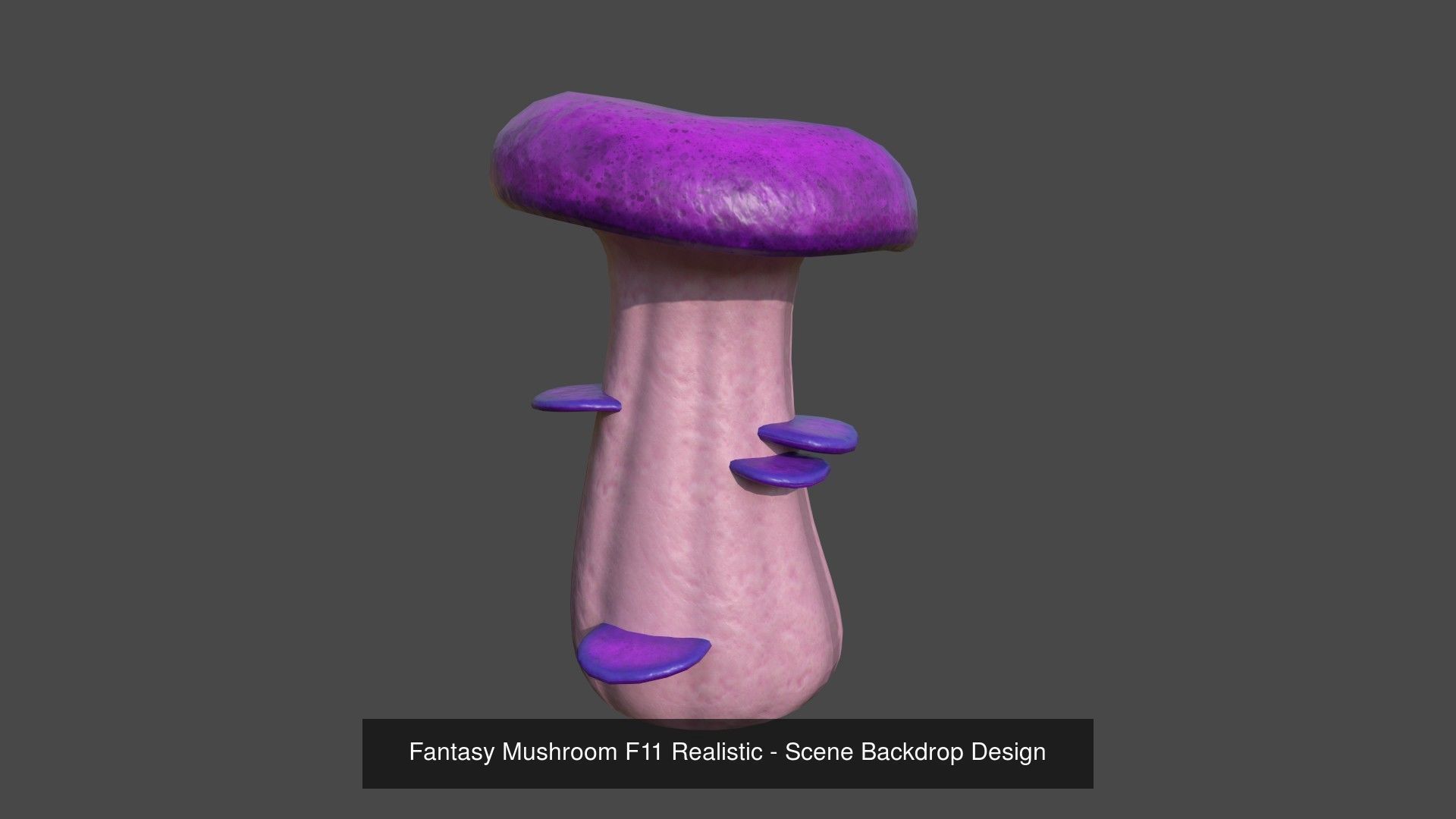 10 Fantasy Mushrooms AJR Collection - Scene Backdrop Design _5