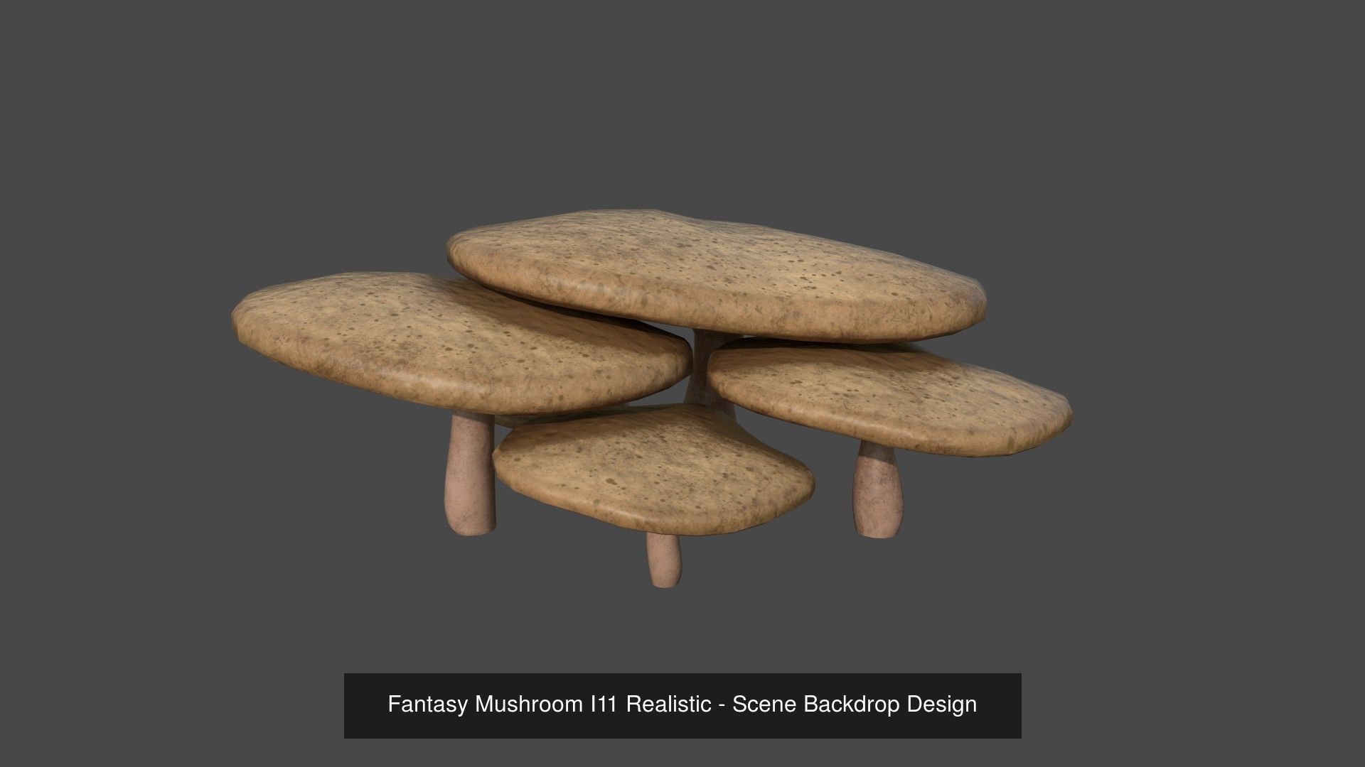 10 Fantasy Mushrooms AJR Collection - Scene Backdrop Design _8