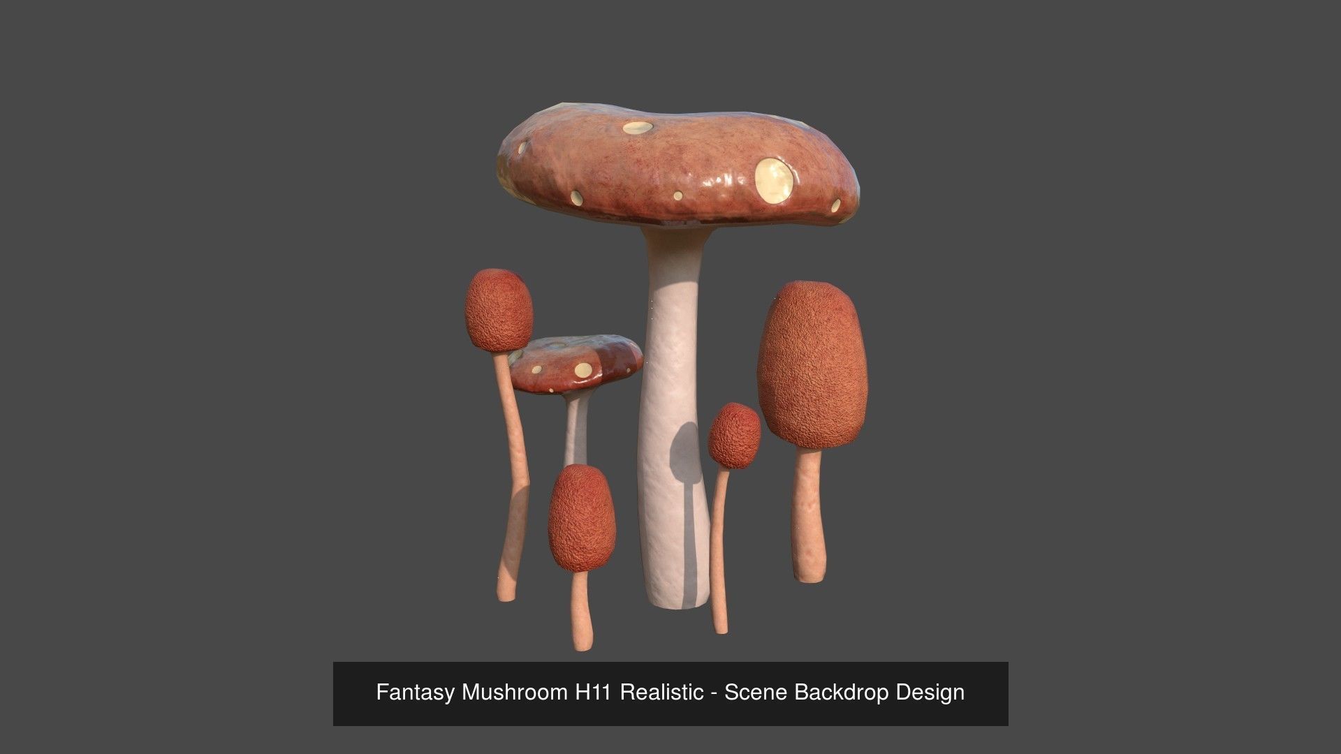 10 Fantasy Mushrooms AJR Collection - Scene Backdrop Design _7