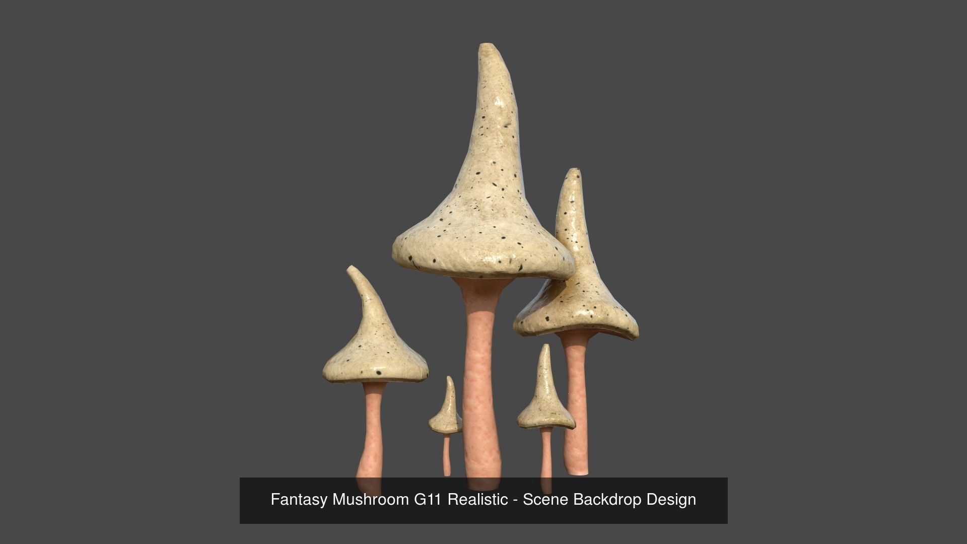 10 Fantasy Mushrooms AJR Collection - Scene Backdrop Design _6