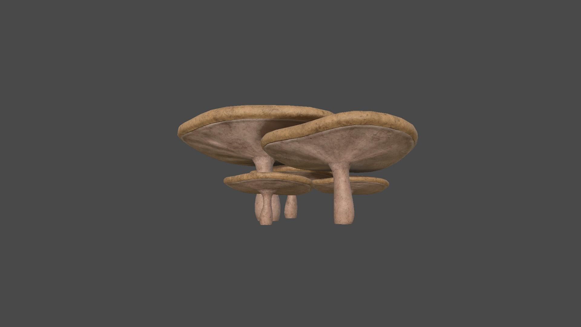 10 Fantasy Mushrooms AJR Collection - Scene Backdrop Design _59