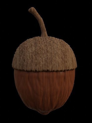 Acorn Free 3D model