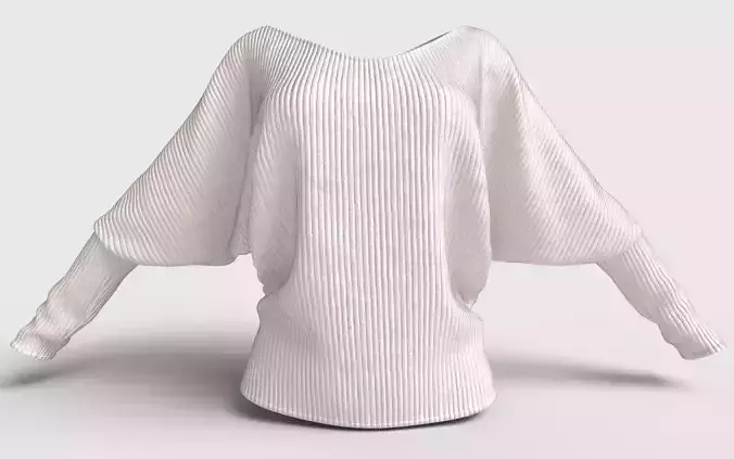 Dolman Sleeve Top 3D model