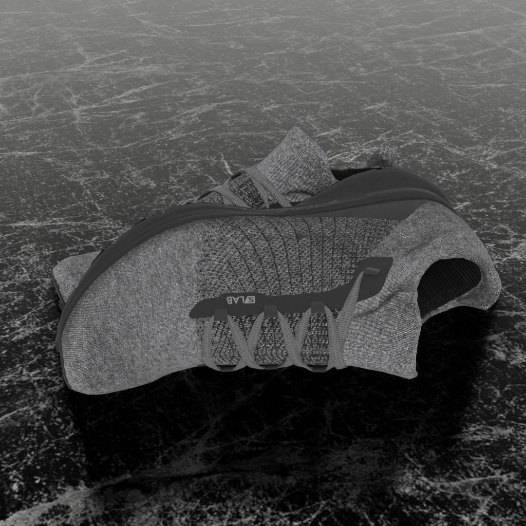SALOMON S LAB 3D SHOES Low-poly 3D model_1