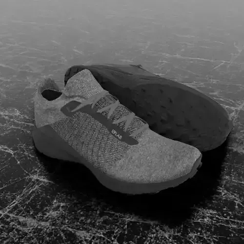 SALOMON S LAB 3D SHOES