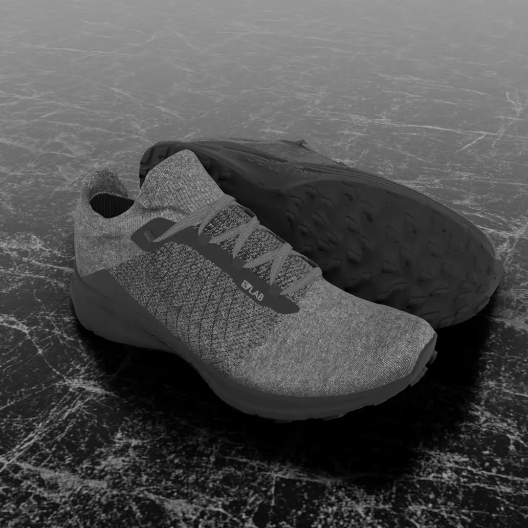 SALOMON S LAB 3D SHOES Low-poly 3D model_0