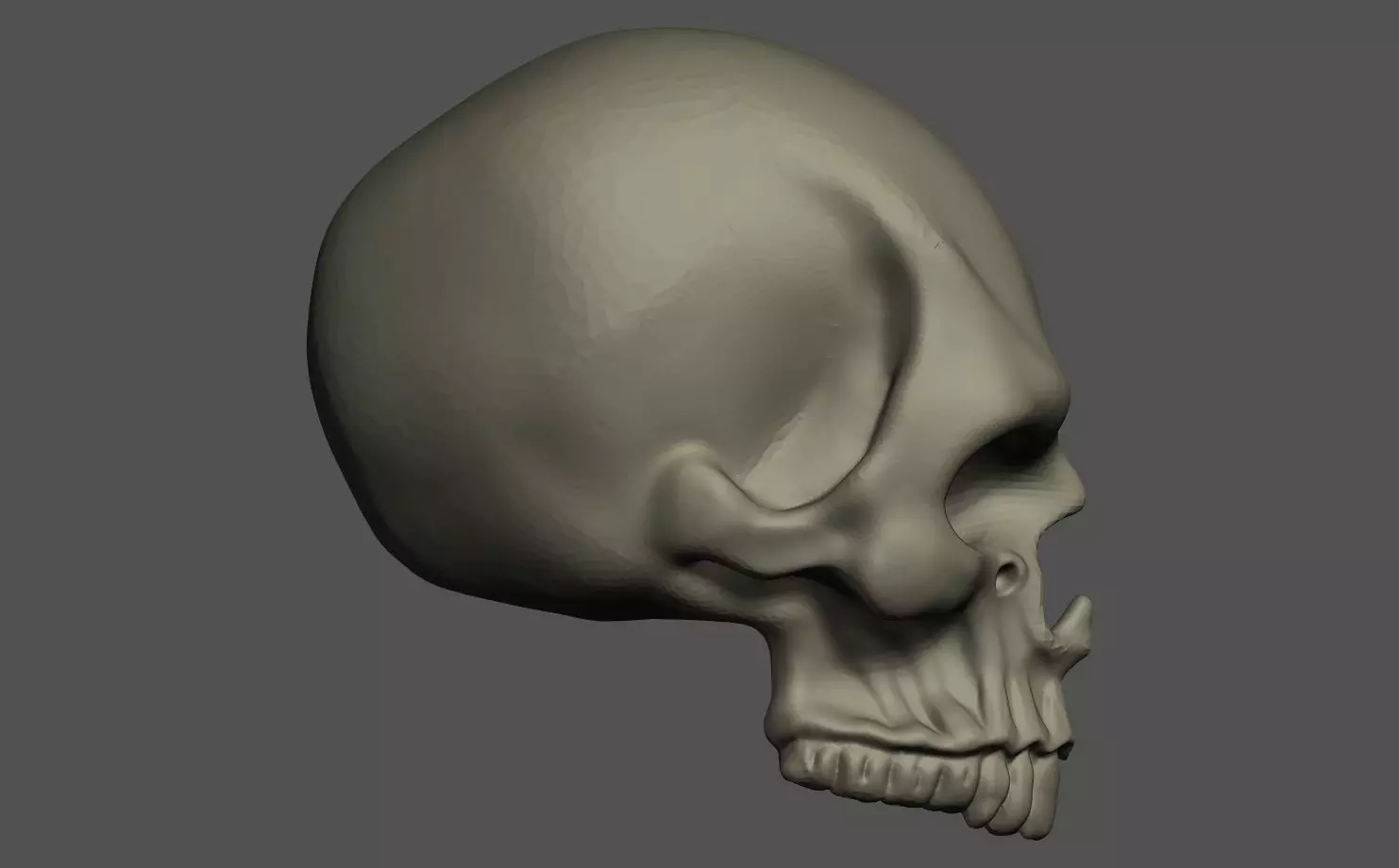 Human Skull 3D print model_0