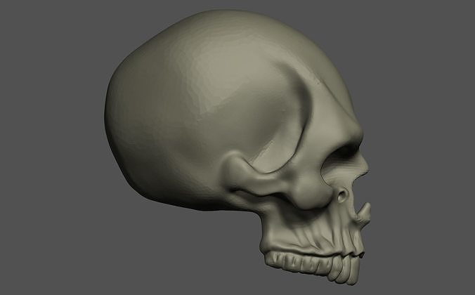 Human Skull 3D print model