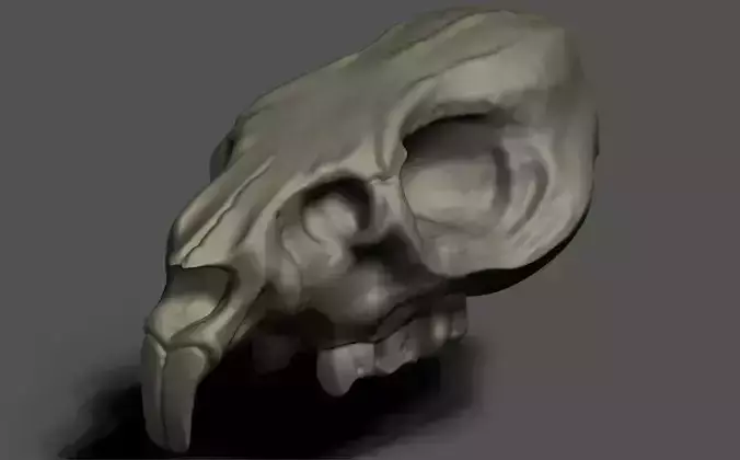 Rat Skull