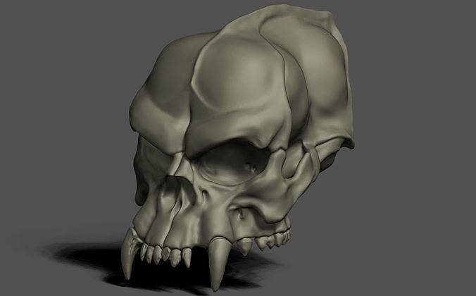 Skull pack 3D print model