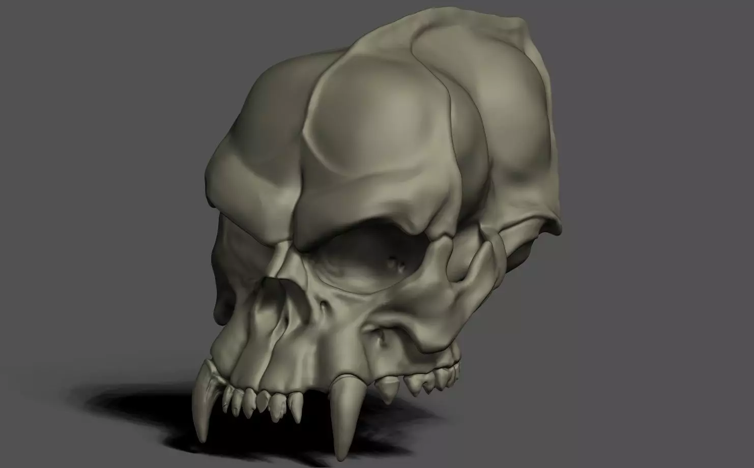Skull pack 3D print model_0