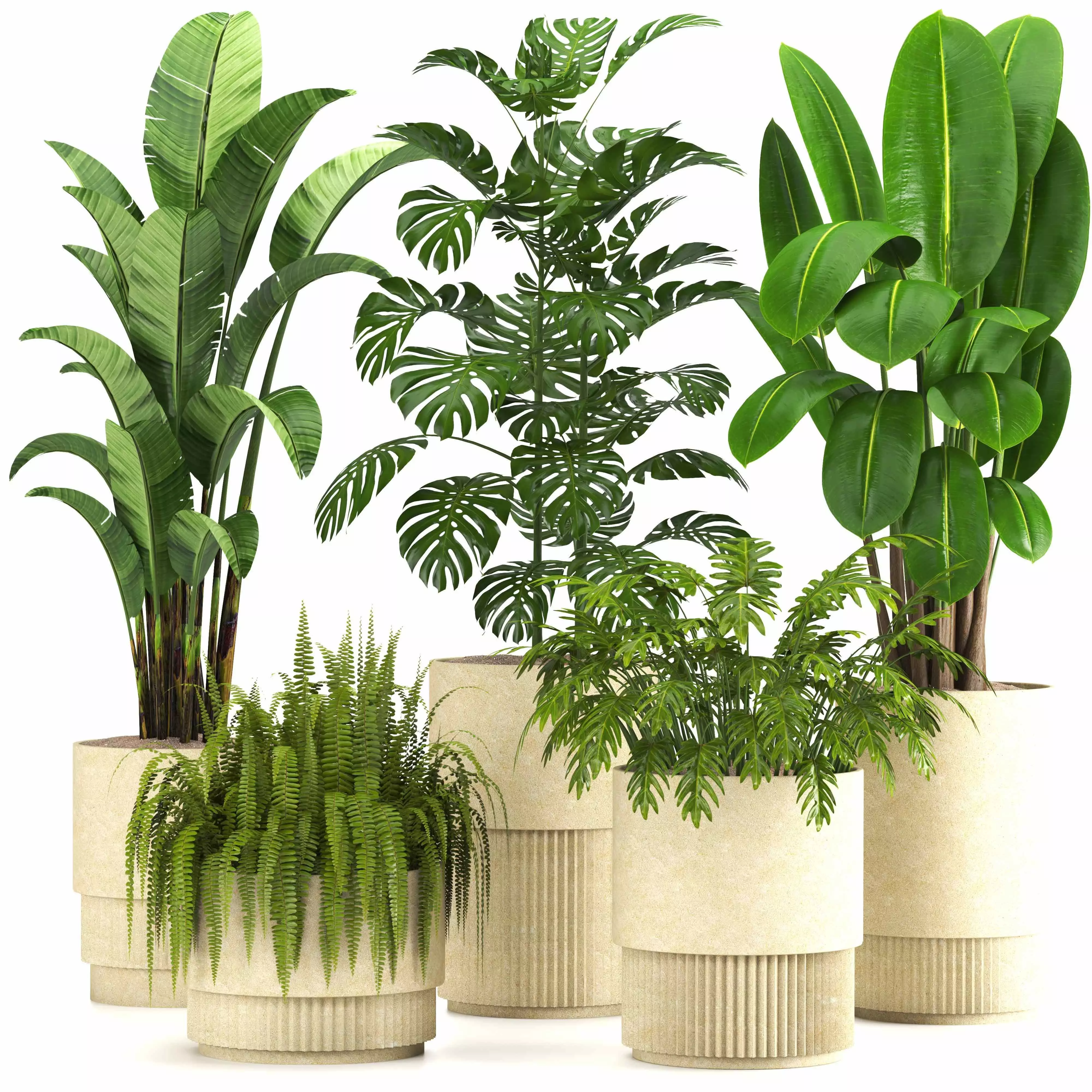 indoor plant set021 3D model