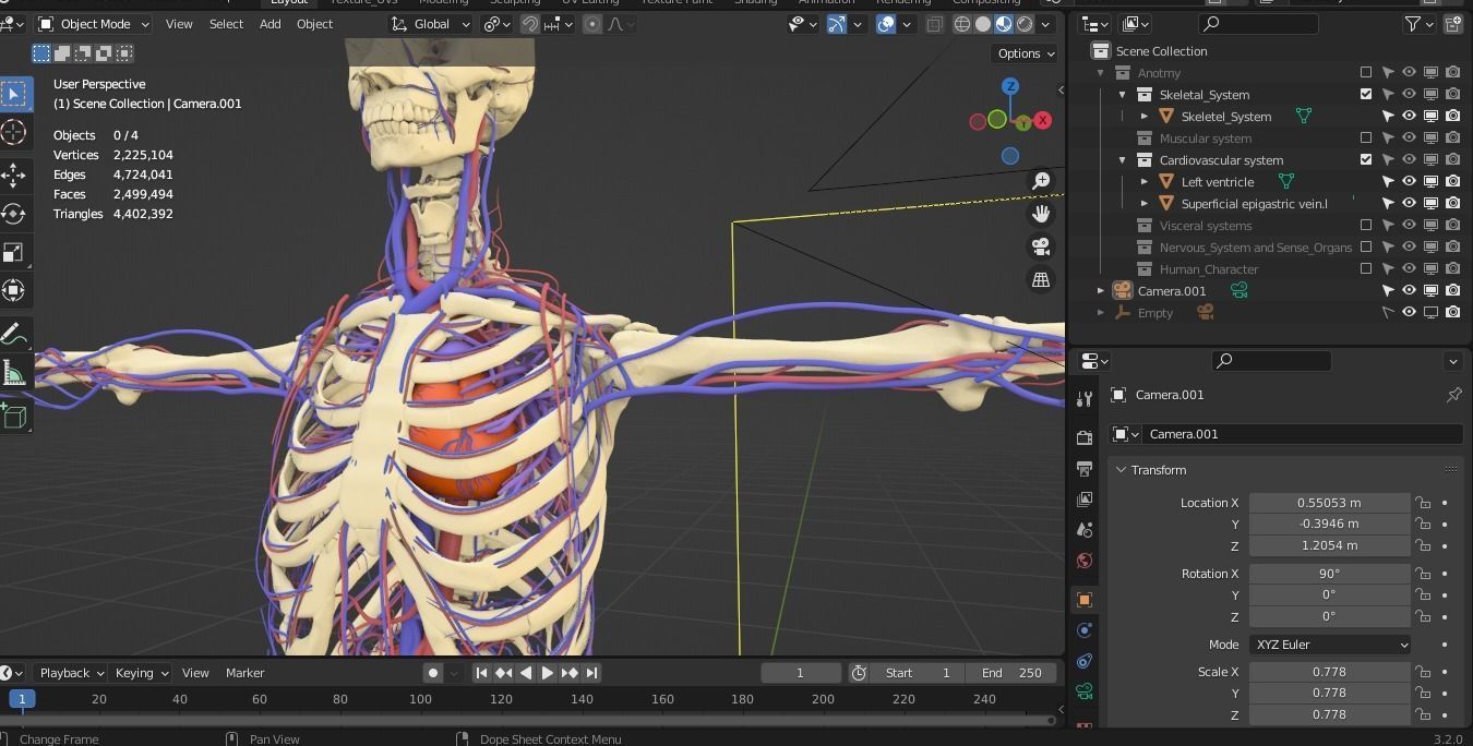 Complete Male human 3D Anatomy 3D model_52